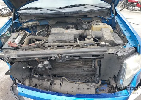 2010 Ford F-150 Stx/Xl/Xlt из США, поврежденный, VIN 1FTMF1CWXAFD02223